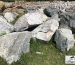 Скальник зелёный, змеевик