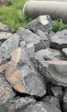 Скальник мрамор рябой
