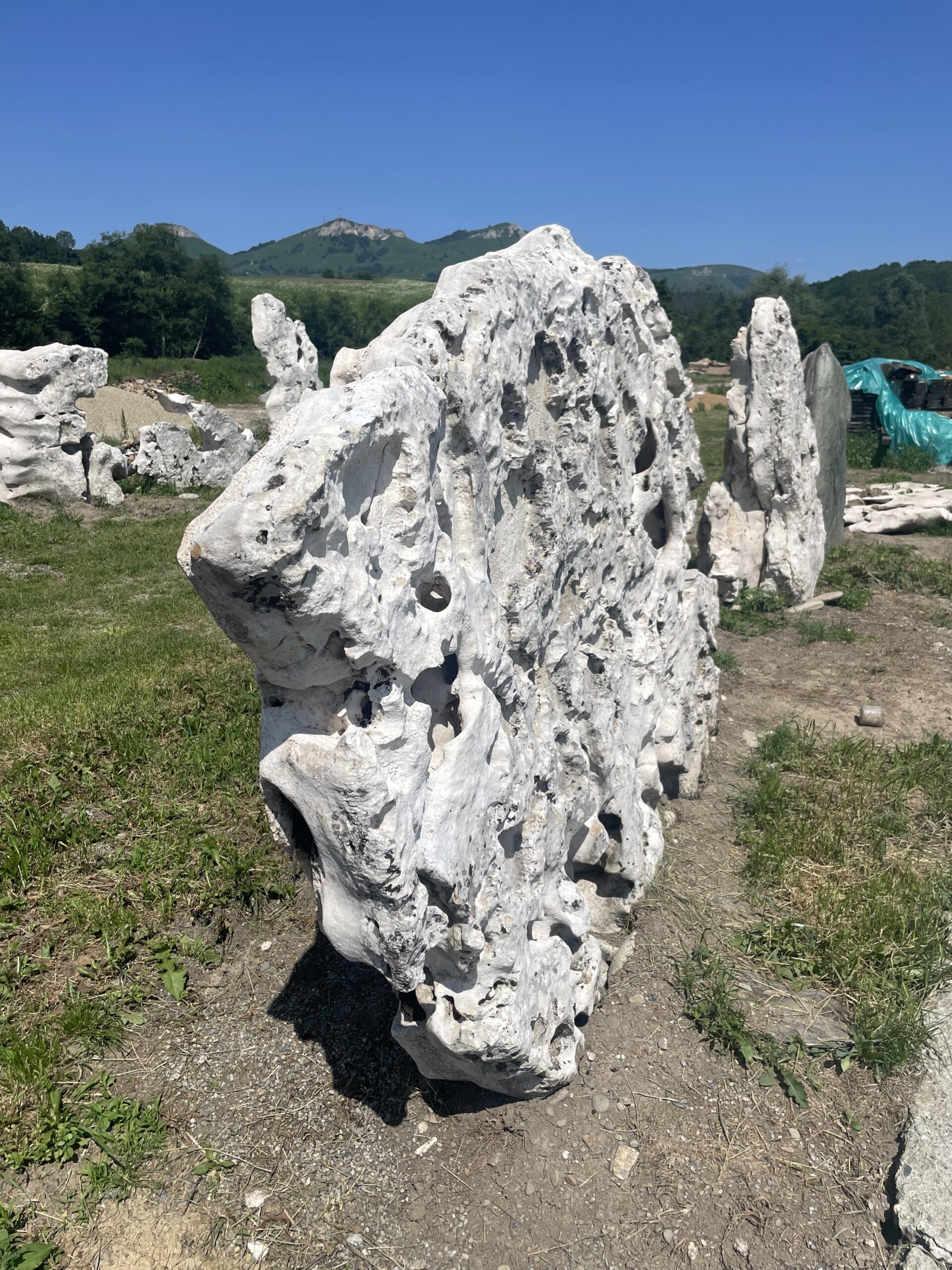 Эксклюзивный камень 14 известняк