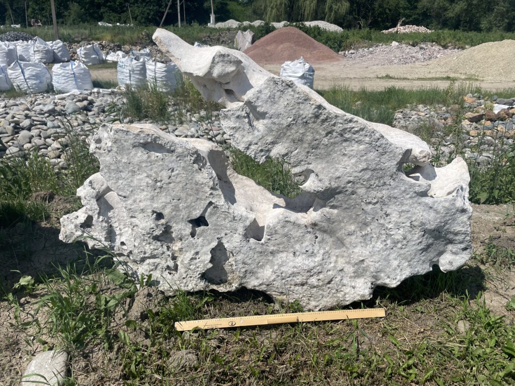 Эксклюзивный камень 16 известняк